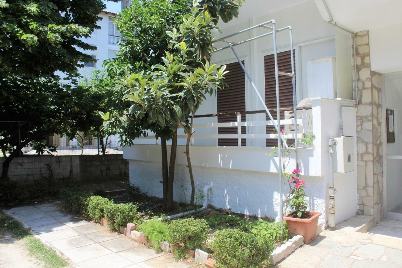 Apartment Traditional House *